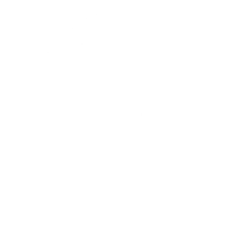 falkon_joias
